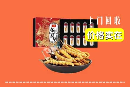 龙川县回收冬虫夏草
