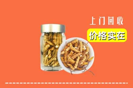 收购资讯:龙川县回收散虫草
