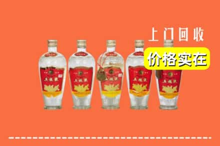 高价收购:龙川县上门回收老五粮液